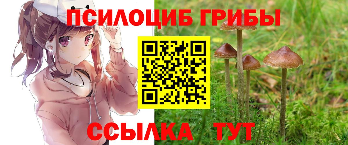 Галлюциногенные грибы Psilocybe  Вход с VPN  Сургут 