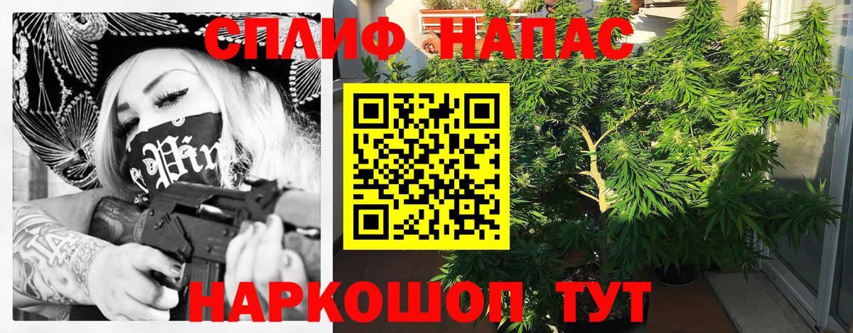 Каннабис OG Kush Сургут